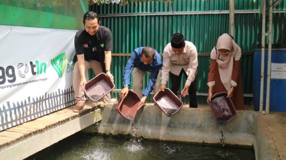Sambangi Kandang Maggotin Dompet Dhuafa Lampung, PT Bukit Asam Tbk Lepaskan 10.000 Bibit Ikan Lele