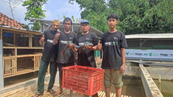Panen Perdana Ikan Lele di Kandang Maggotin Dompet Dhuafa Lampung