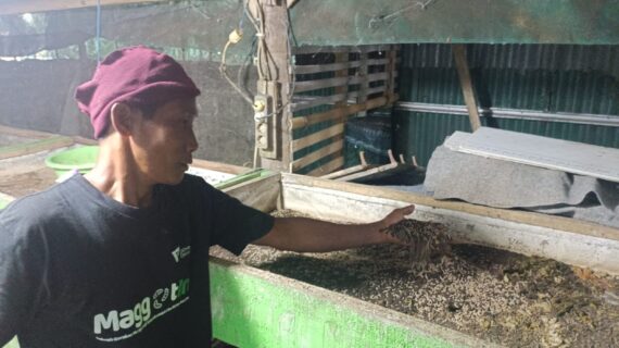 Dompet Dhuafa Hadirkan Solusi Sampah Organik Jadikan Cuan Melalui Maggotin